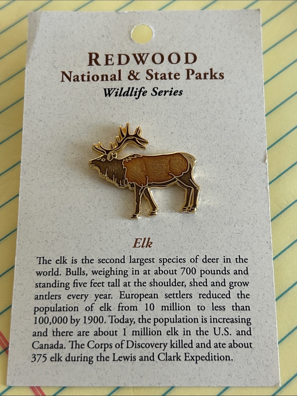 Elk pin